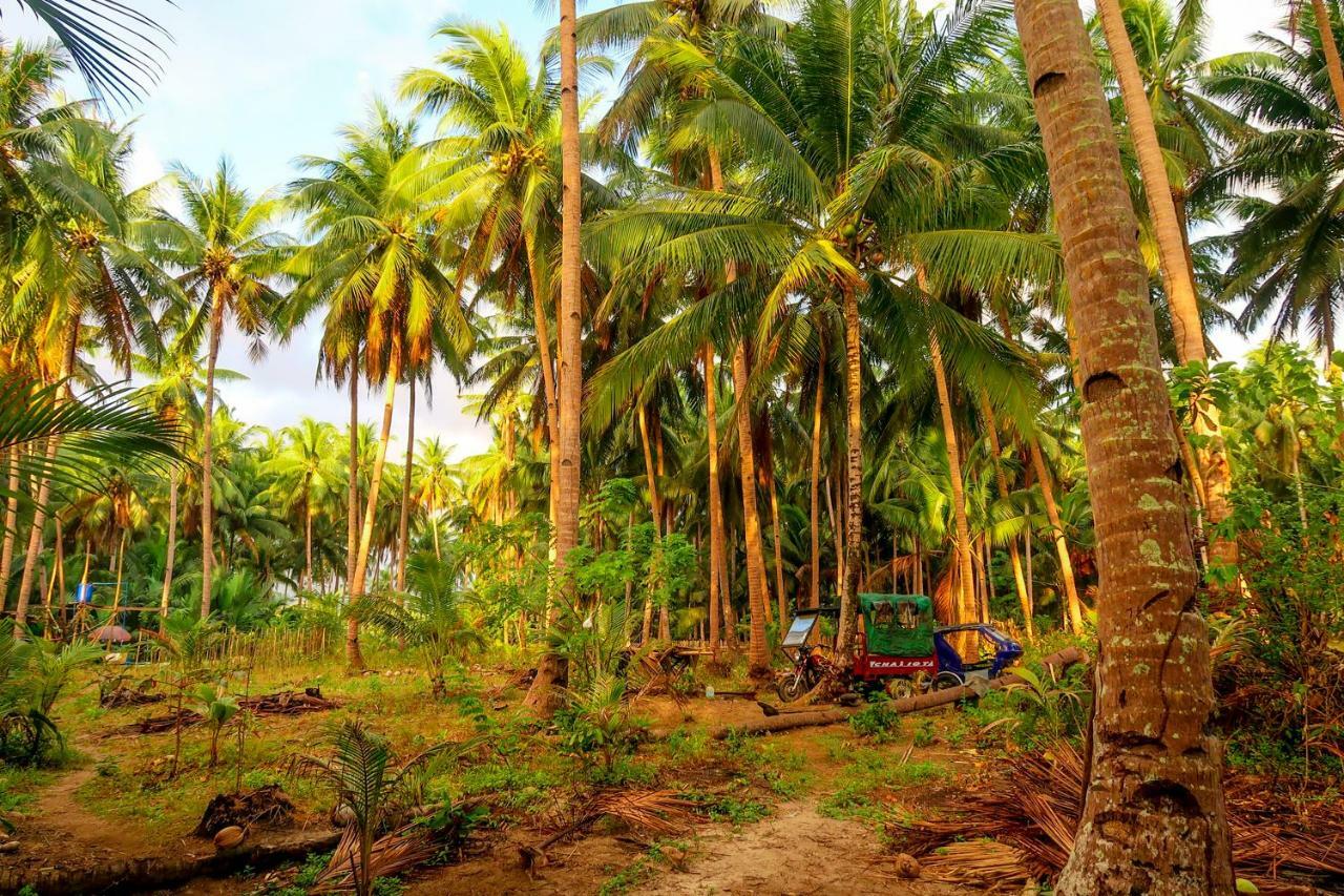 Efrena Agro Tourism Beach Ель-Нідо Екстер'єр фото